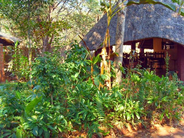 Mosi-Ua-Tunya Lodge Victoria Falls Eksteriør bilde